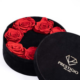 20012022-DSC07713-2-compressed