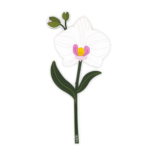 Bomboniera/Segnaposto Orchidea "Special Moments" Vesta h20.4 cm.