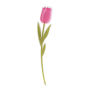 Tulipano Piccolo Rosa "Funny Flowers" Vesta h.42 cm.