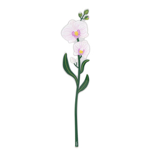 Orchidea "Funny Flowers" Vesta
