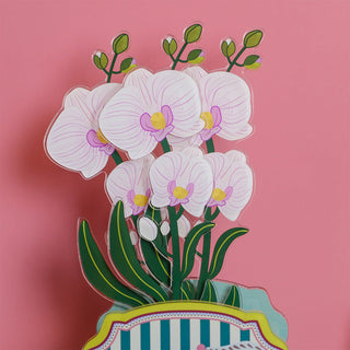 Orchidea "Funny Flowers" Vesta