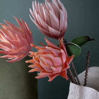 Protea Rosa "Flowers" Henriette h.66 cm.