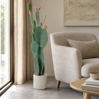 Cactus Fico d'India con Vaso L'Oca Nera h. 138 cm.