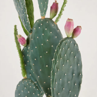 Cactus Fico d'India con Vaso L'Oca Nera h. 138 cm.