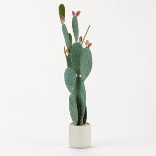 Cactus Fico d'India con Vaso L'Oca Nera h. 138 cm.