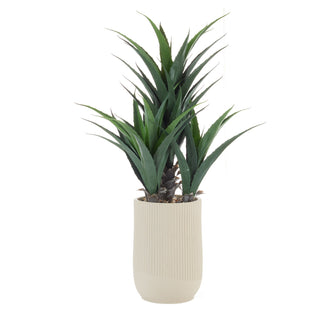 Agave con Vaso L'Oca Nera h.107 cm.