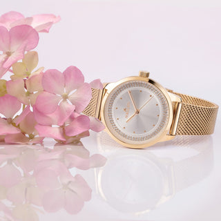 2-orologio-morellato-ninfa-r0153168502