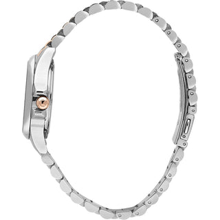 2-orologio-sector-230-r3253161539_v2n2e3