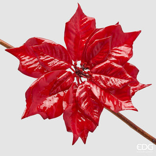 Set 3 pz. Stella Natale Glossy Clip EDG Ø60 cm.
