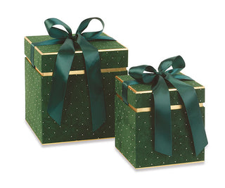 Box Velluto Verde TonoSuTono