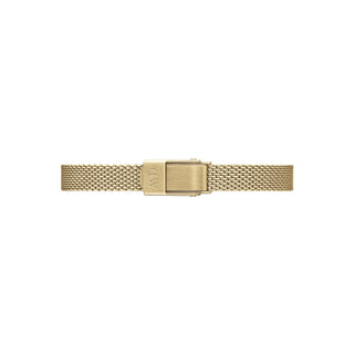 Orologio Solo Tempo Mini Evergold Amber Daniel Wellington