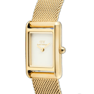 Orologio Solo Tempo Bound Mini Evergold Daniel Wellington