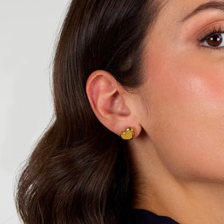 Orecchini "Intrecci" Morellato