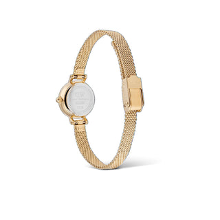 Orologio Solo Tempo Petite Mini Evergold Daniel Wellington