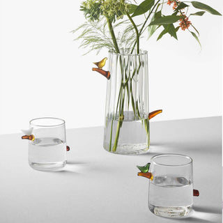 Set 4 Bicchieri Acqua "Birds" Ichendorf Milano