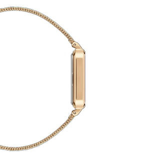 Orologio Solo Tempo Pressed Evergold Daniel Wellington