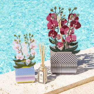 Profumatore Livinia Orchidea Vesta 500 ml.