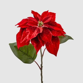 Set 2 pz. Stella Natale Bell Velluto EDG h. 71 cm.