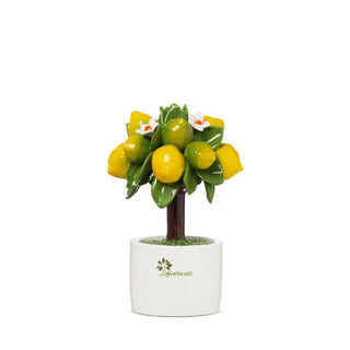 Bomboniera Piantina Limoni Gli Alberelli h.15 cm.