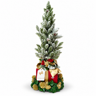 Pacco Regalo con Albero di Natale "Emozioni di Natale" Fiori di Lena h. 64 cm.