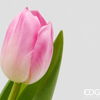 Bouquet di 7 Tulipani Real Touch EDG h. 30 cm.