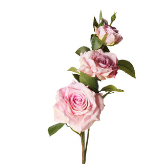 Rose Real Touch "Flowers" Henriette h.65 cm.