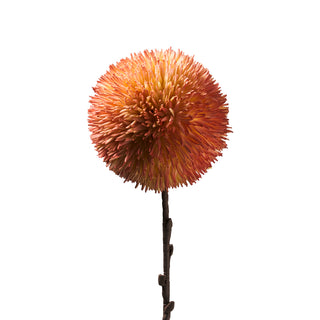 Pom Pom Corallo "Flowers" Henriette h.75 cm.