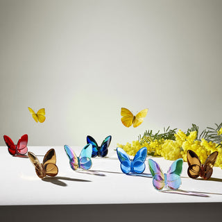 Lifestyle_Papillons