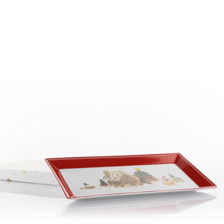 Tray-2