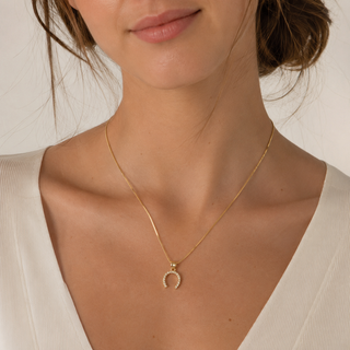 Collana Ferro di Cavallo Pavè in Argento 925%