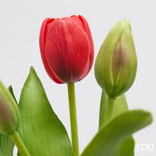 Bouquet di 5 Tulipani Rossi Real Touch EDG h. 30 cm.