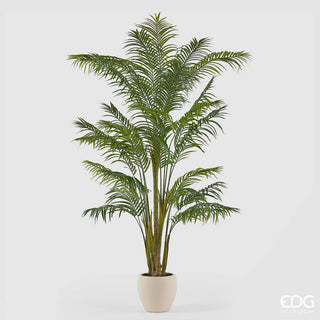 Palma Areca Vogue con Vaso EDG h.240 cm.