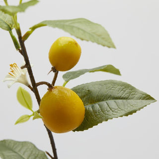 Ramo Limone con Foglie EDG h. 105 cm.