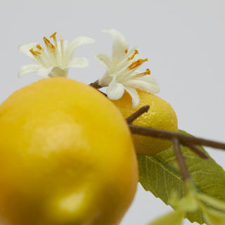 Ramo Limone con Foglie EDG h. 105 cm.