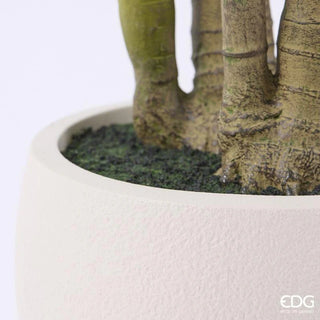 Palma Areca Vogue con Vaso EDG h.240 cm.