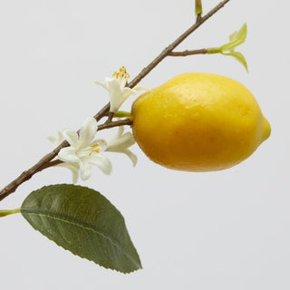 Ramo Limone con Foglie EDG h. 105 cm.