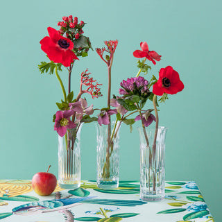 lifestyle_flora_vases_01 (1)