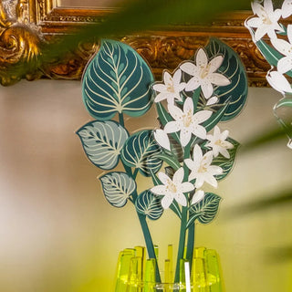 Foglia Maranta Verde "Funny Flowers" Vesta