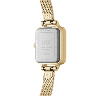 Orologio Solo Tempo Mini Evergold Amber Daniel Wellington